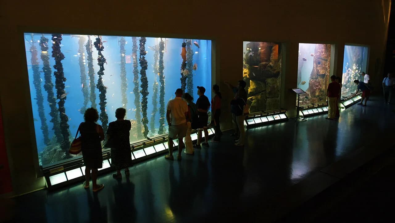 Aquarium Finisterrae, A Coruña: what to see and how long it takes