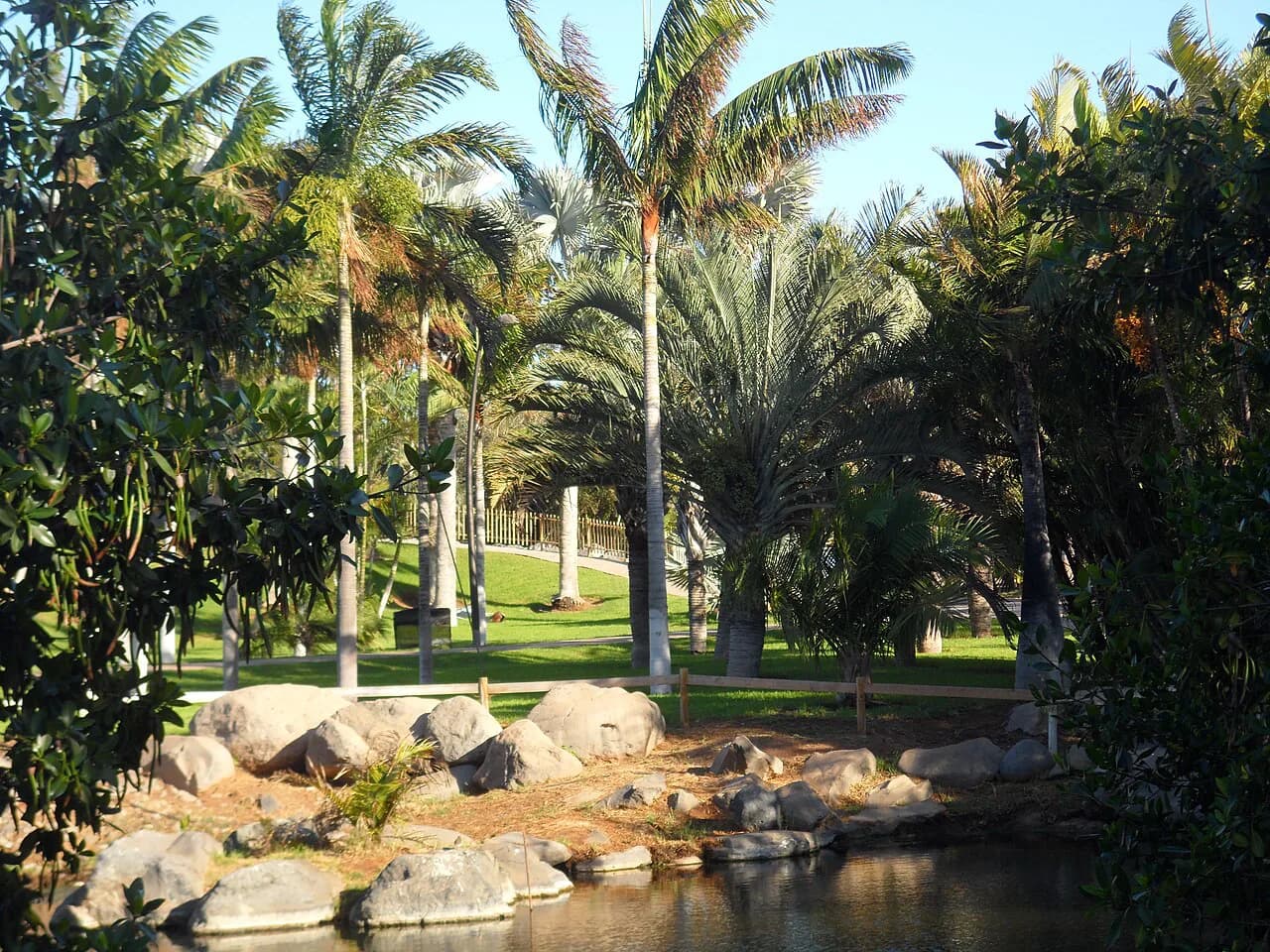 Palmetum Santa Cruz de Tenerife: A Guide to the Palm Garden