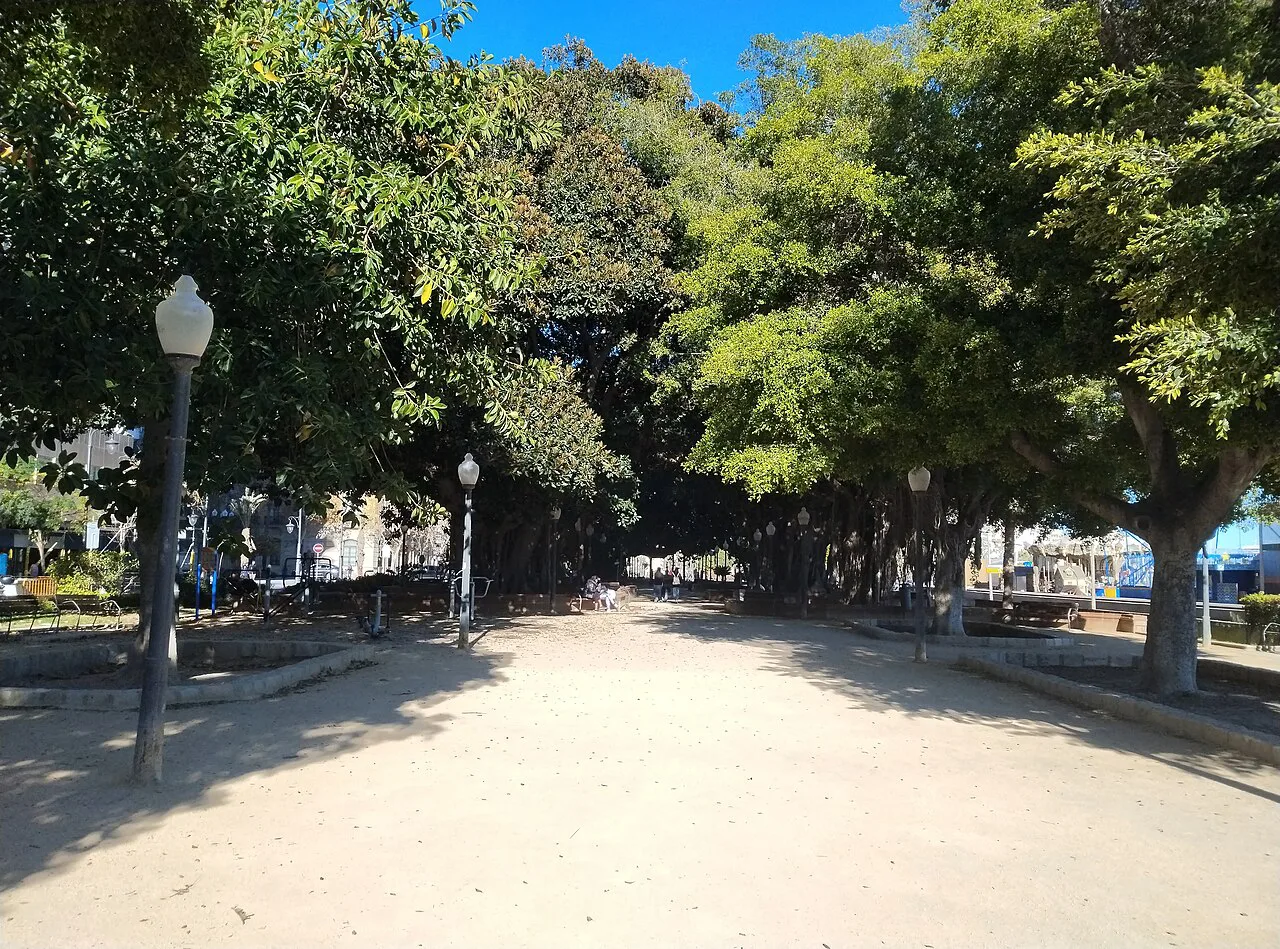 A tree-lined avenue in the Parque de Canalejas, Alicante.
