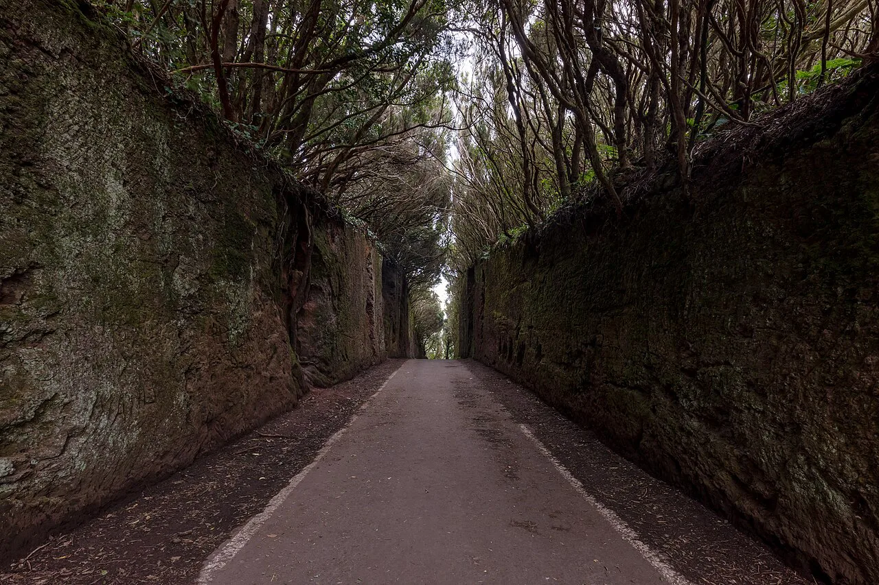 A path through a rock cutting in Anaga Rural Park, Tenerife.