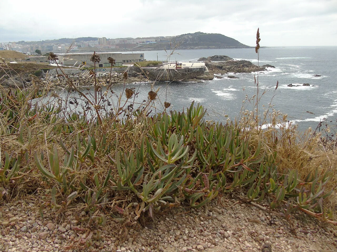 The rocky coast of A Coruña near Aquarium Finisterrae.