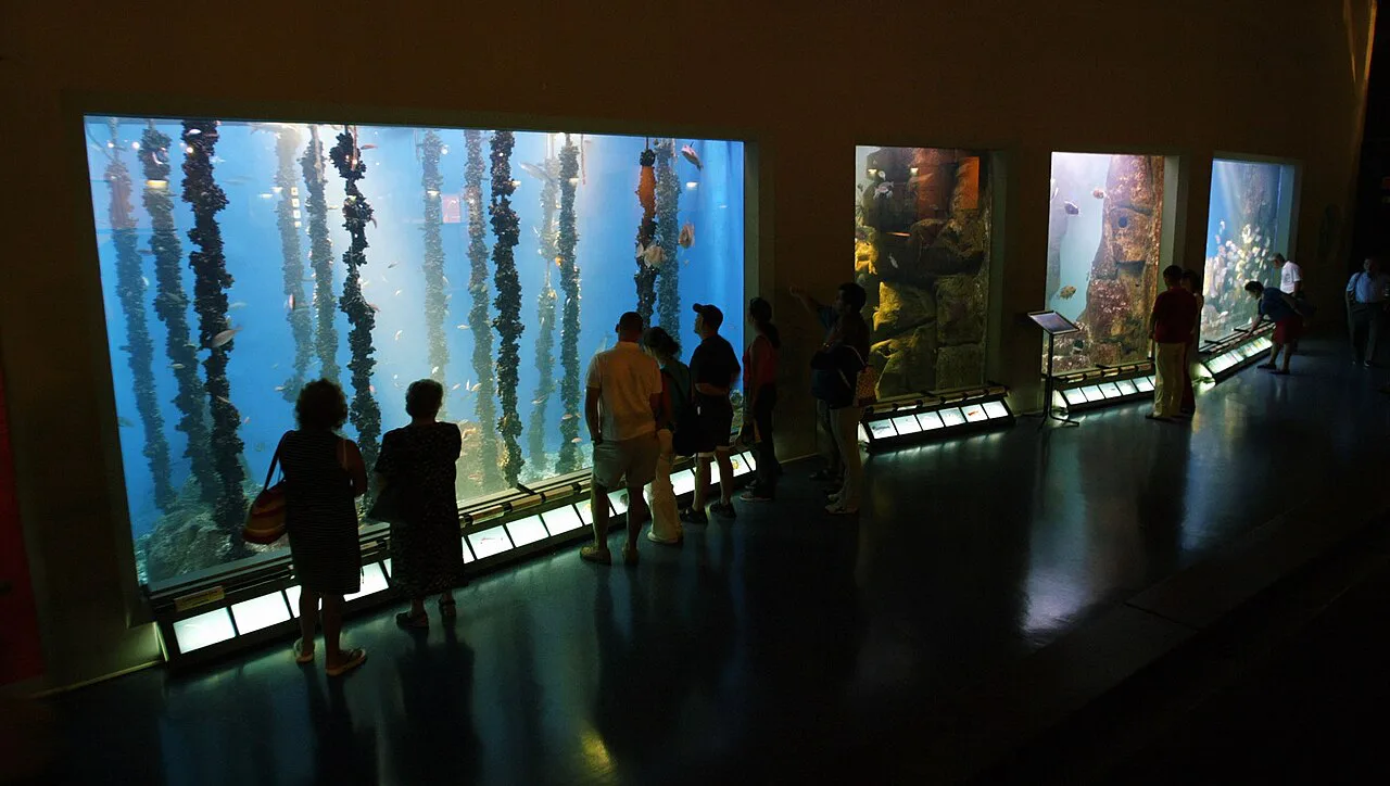 Visitors at the large tanks of the Sala Maremagnum, Aquarium Finisterrae, A Coruña.