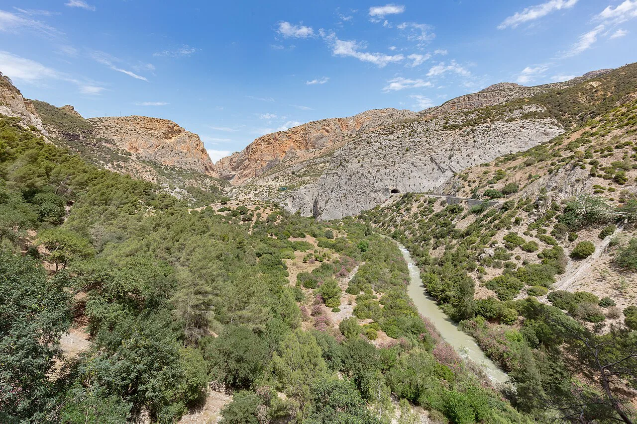 The Caminito del Rey valley with its pine-covered slopes.