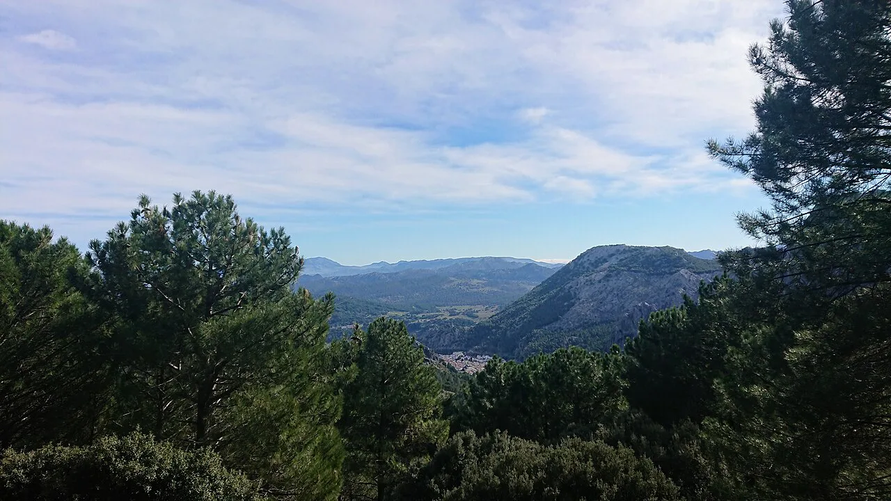 Pine woods and hills near Grazalema.