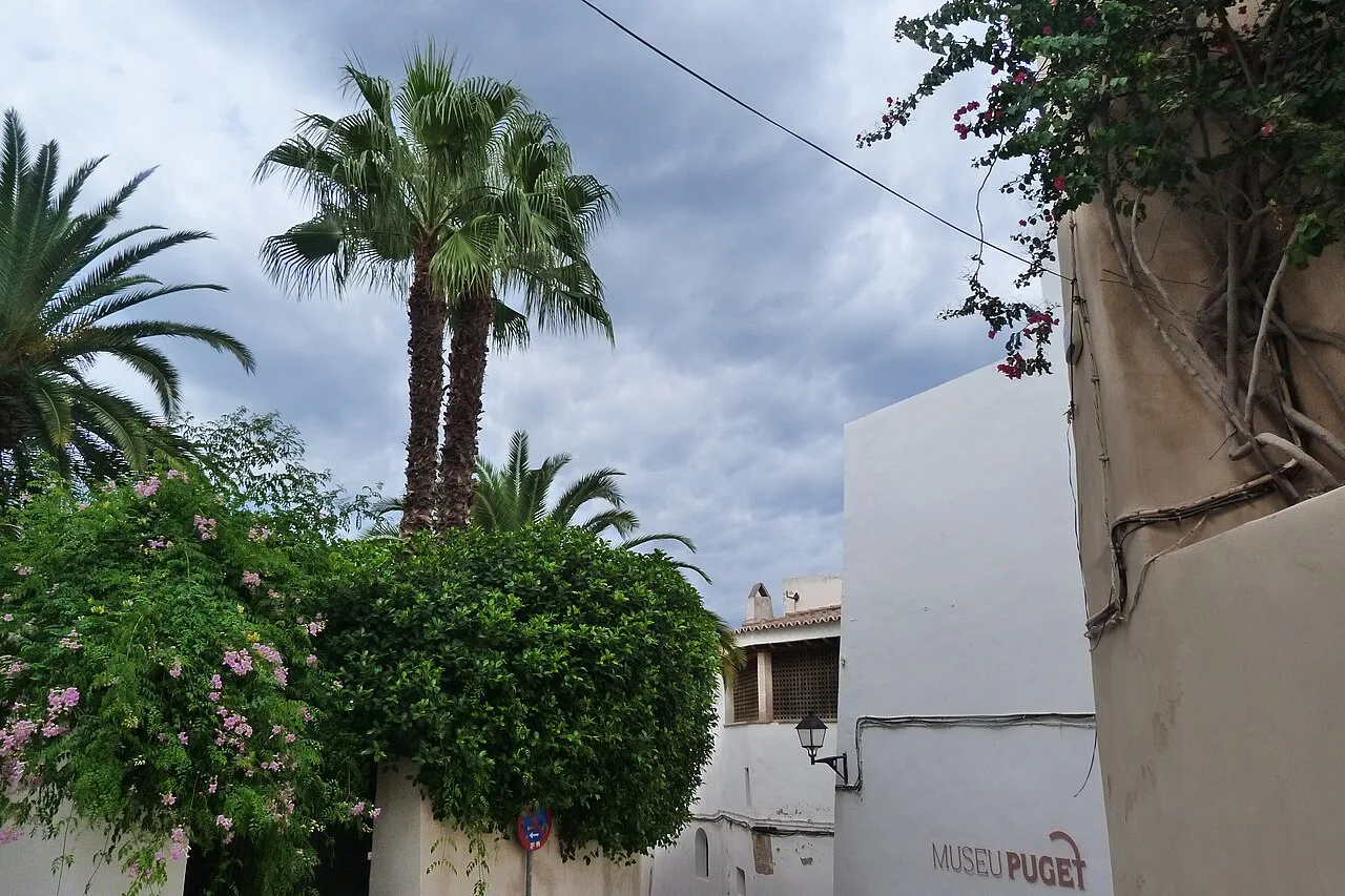 A palm-lined street in Dalt Vila, Ibiza Town.