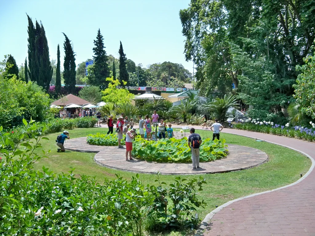 The lotus ponds in La Concepción botanical garden, Málaga.