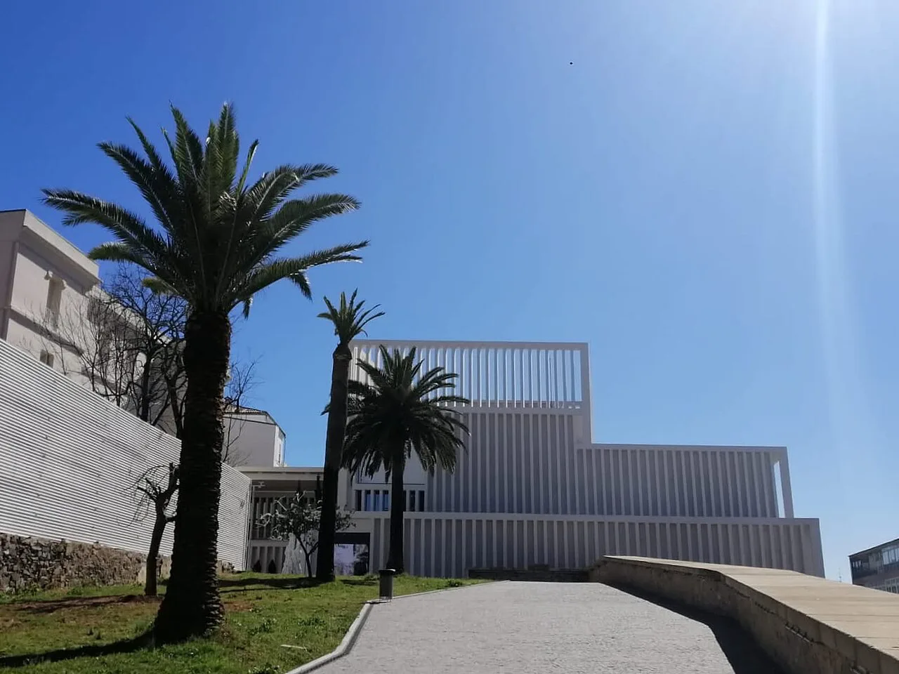 The Helga de Alvear Museum of Contemporary Art with palm trees, Cáceres.