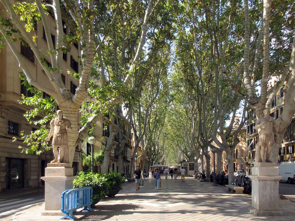 The tree-lined La Rambla in Palma de Mallorca.