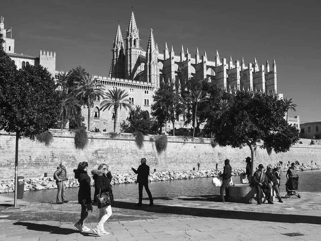 Palma Cathedral above the Parc de la Mar, in black and white.