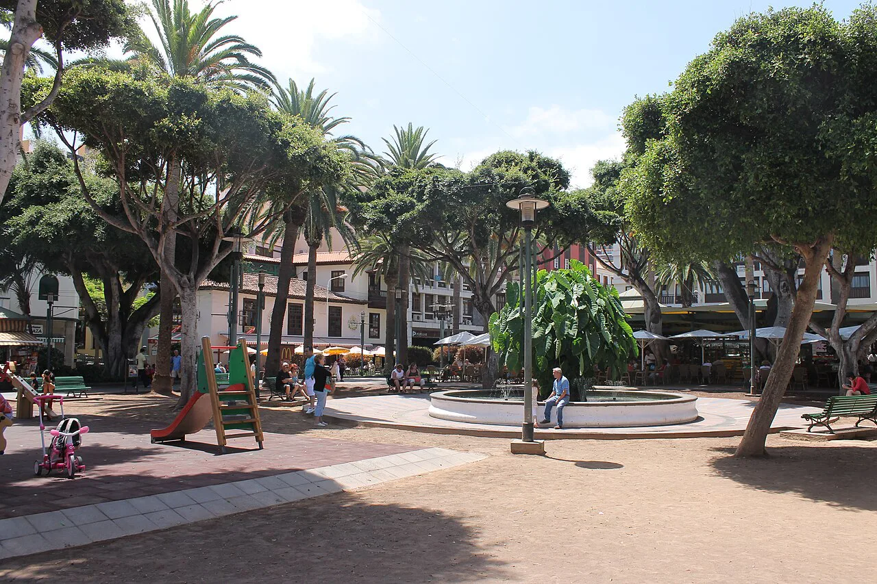 Trees and a fountain in the Plaza del Charco, Puerto de la Cruz.