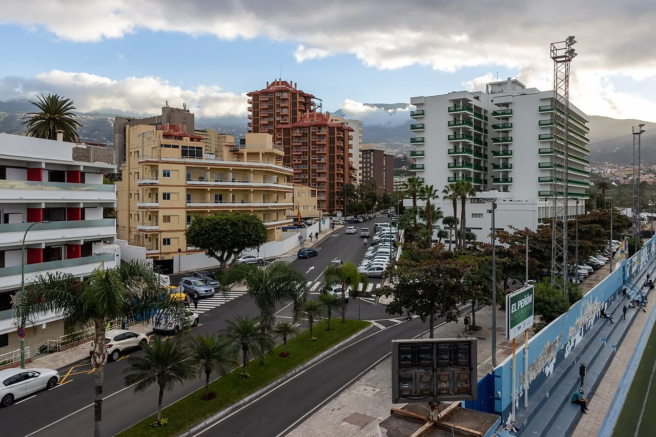 A palm-lined street in Puerto de la Cruz.