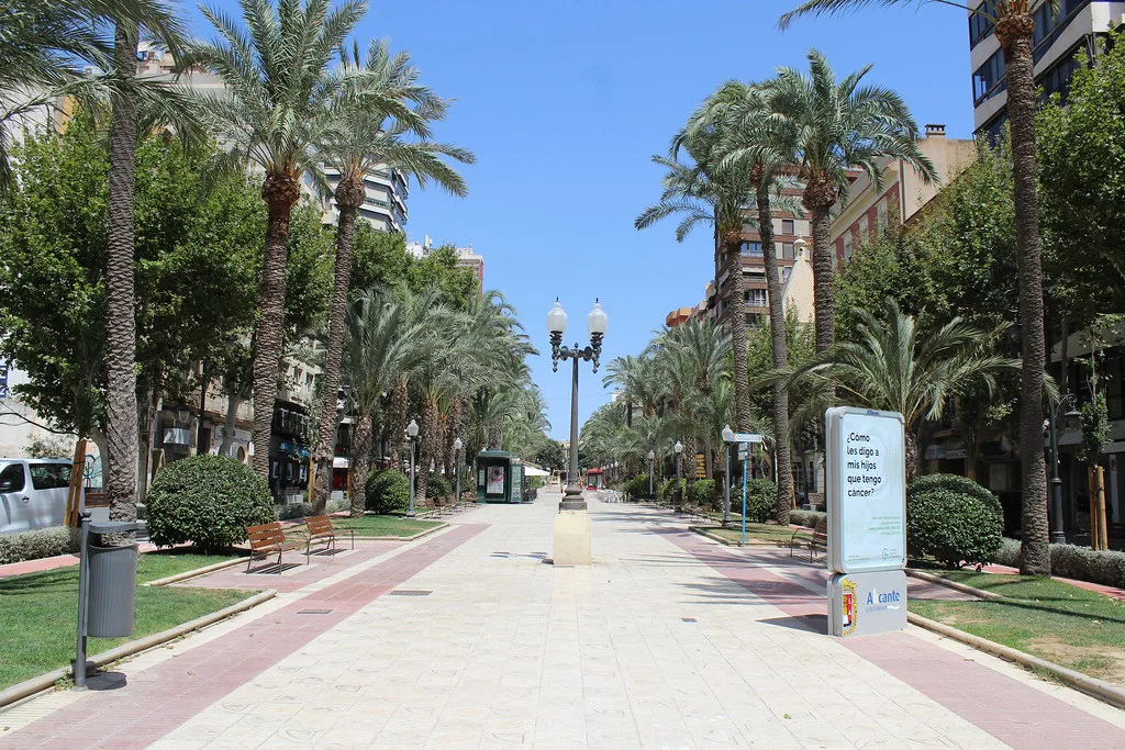 The palm-lined Avenida del Doctor Gadea, Alicante.