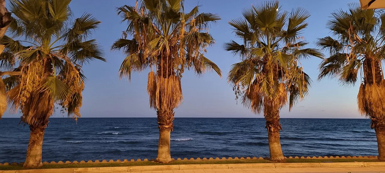 Palm trees and the Mediterranean at dusk, Sitges.