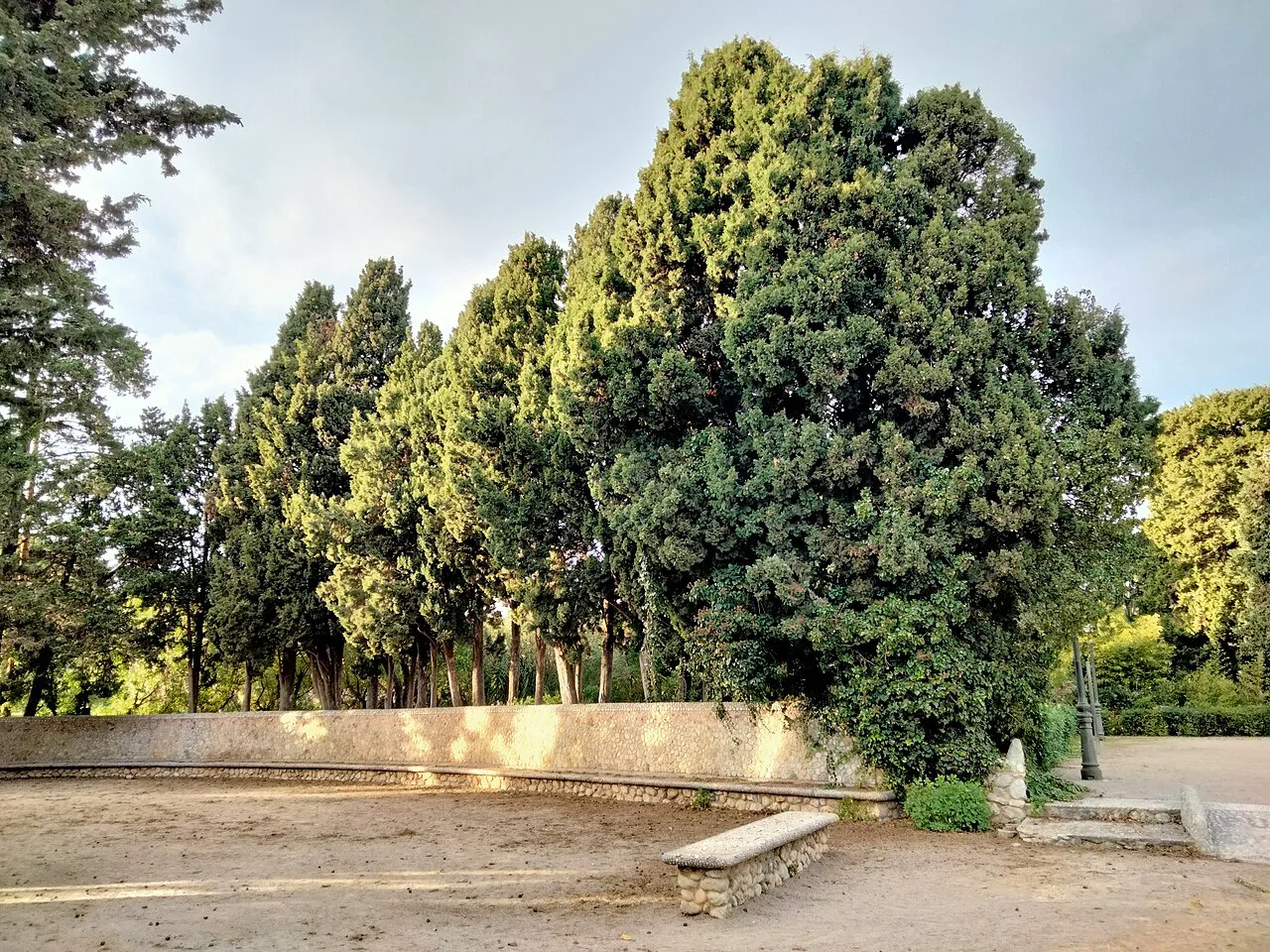 Trees and a bench in the Jardins de Terramar, Sitges.