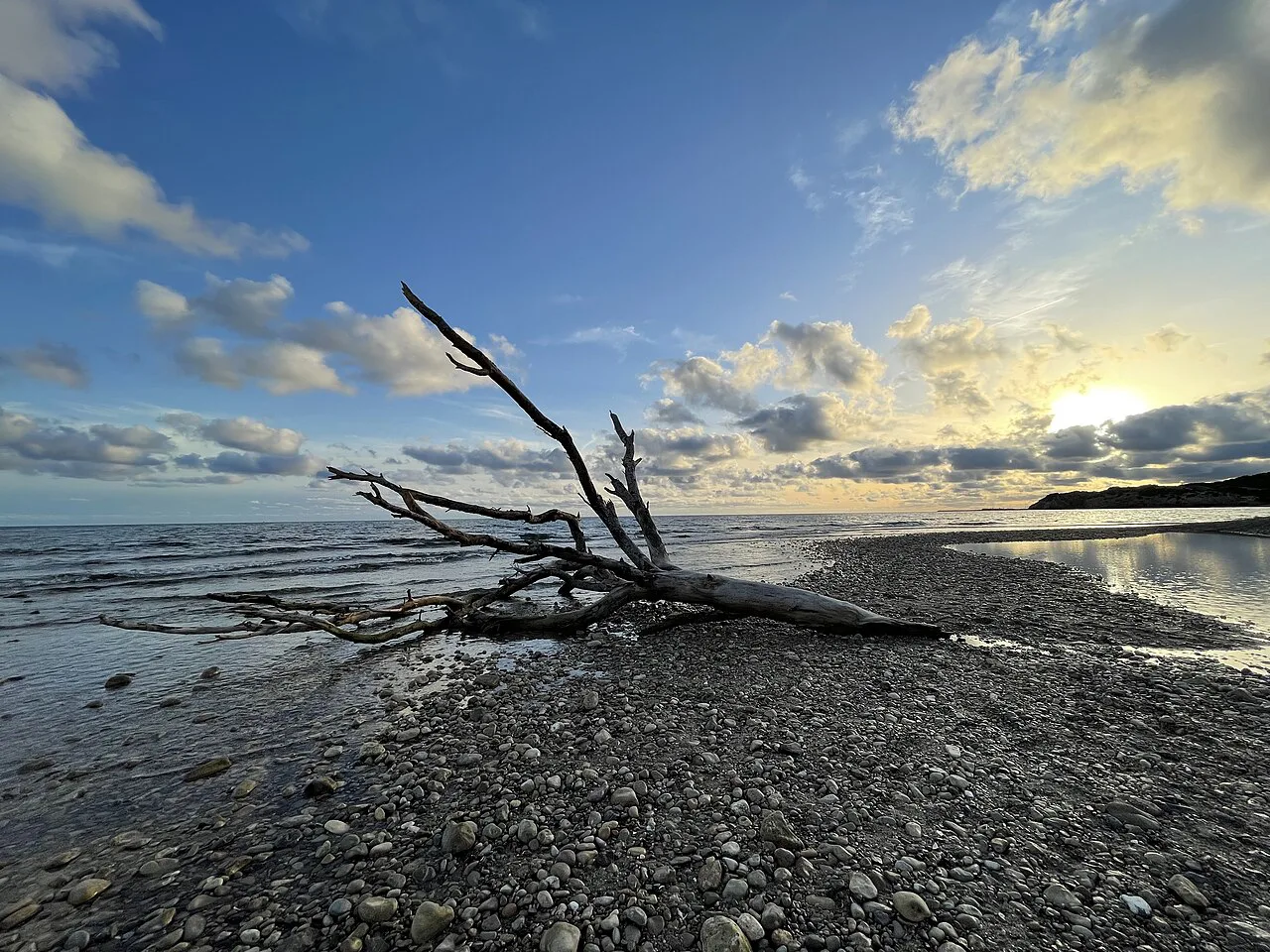 Driftwood on a rocky beach in Sitges at sunset.